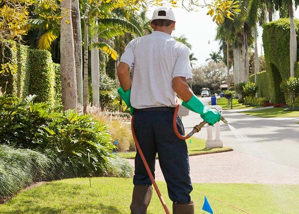 About Saulsville WV Pest Control Pros